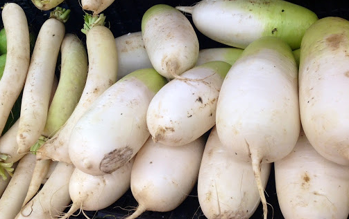daikon at the groceries